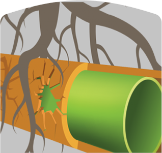 pipe relining